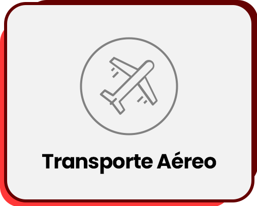 Segmento Transporte Aereo