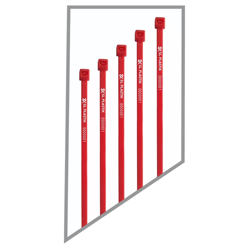 Lacre abraçadeira (2)