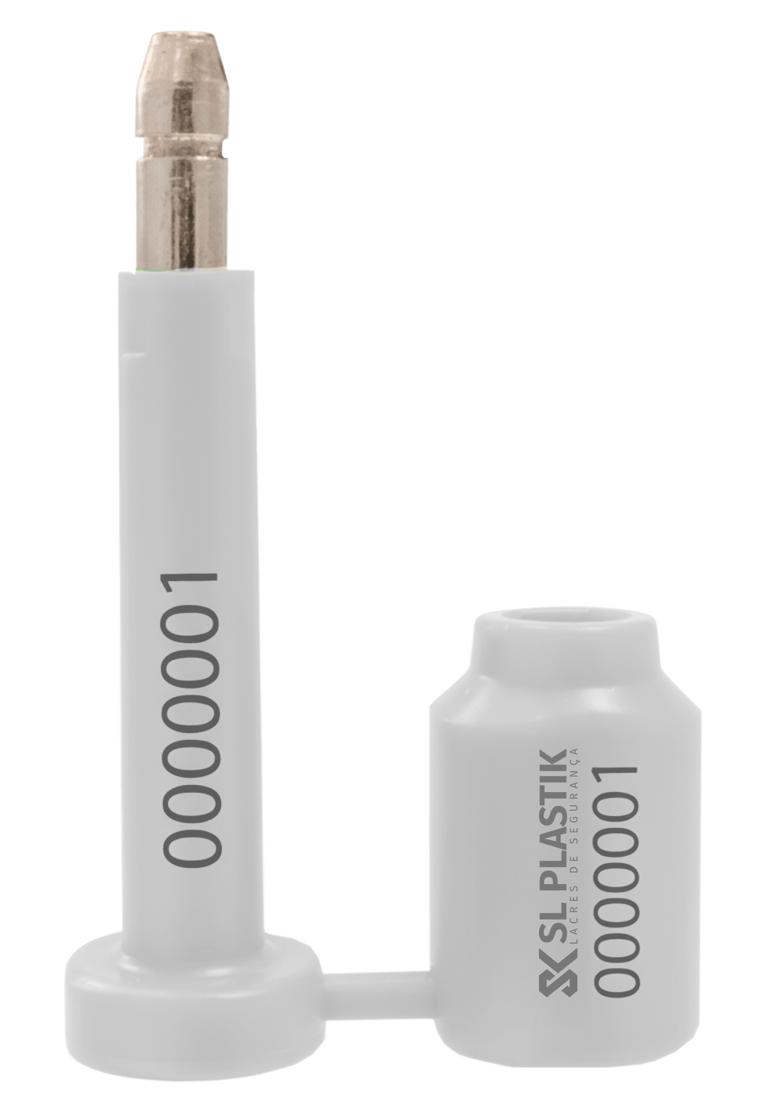 Pino e bucha_CAPA--2